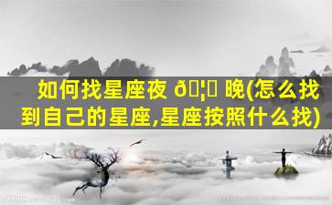 如何找星座夜 🦊 晚(怎么找到自己的星座,星座按照什么找)
